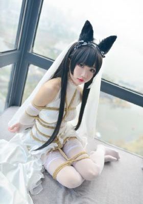 亚洲特级无码黄色视频_高清免费高清观看