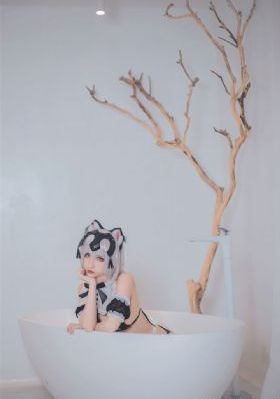 免费av不卡一区二区_DVD高清视频播放